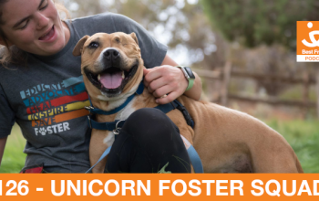 woman lying in the grass with a brown dog