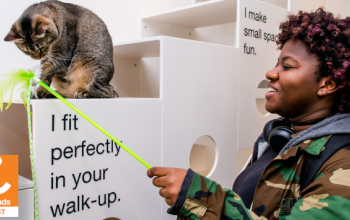 Woman plays with a cat at a pet adoption center
