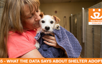 lady holds a puppy in an animal shelter