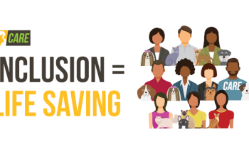 Care inclusion and diversity graphic