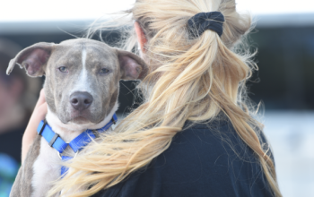 woman saving a dog during a disaster
