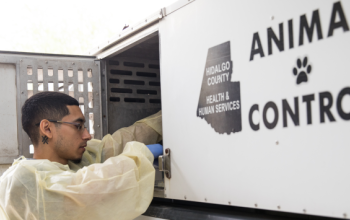 Animal control truck