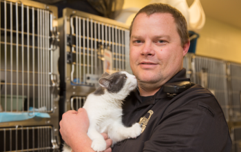 animal control officer holding a cat