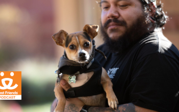 man rescuing a small dog