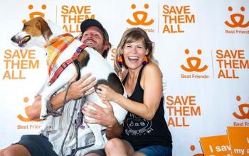 Man and woman holding tan and white hound dog in front of save them all background