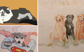 three different results from an animal welfare poorly drawn pets fundraiser