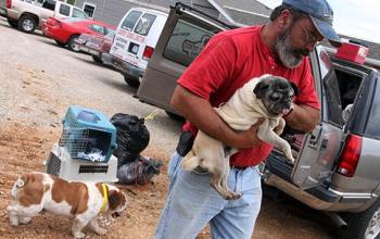 Best Friends Animal Transport Volunteer Playbook