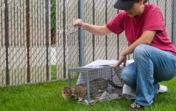 Selenium test image - create