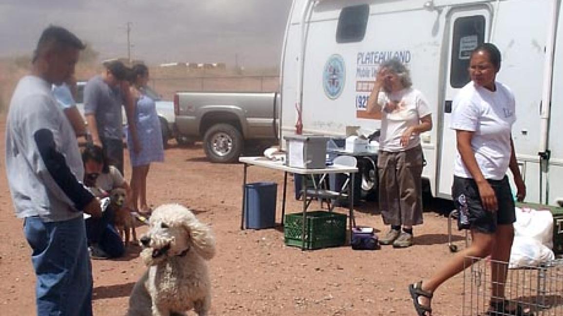 Navajo Nation Spay Neuter Best Friends Animal Society Save Them All