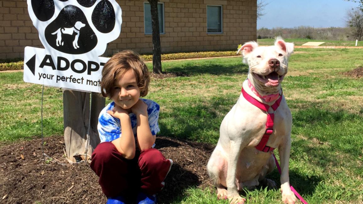 Adoption-promotion-dog-big-small-Daisy-adopter.jpg