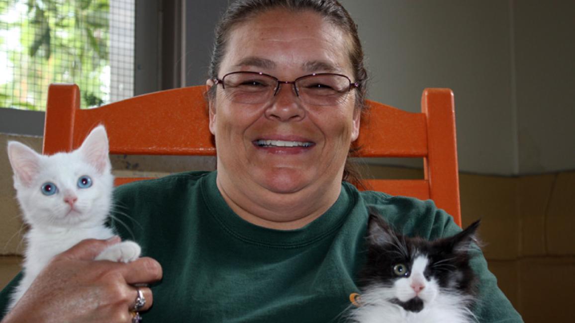 Community-cats-kitten-rescue-Asheville-Petey-Ivory.jpg