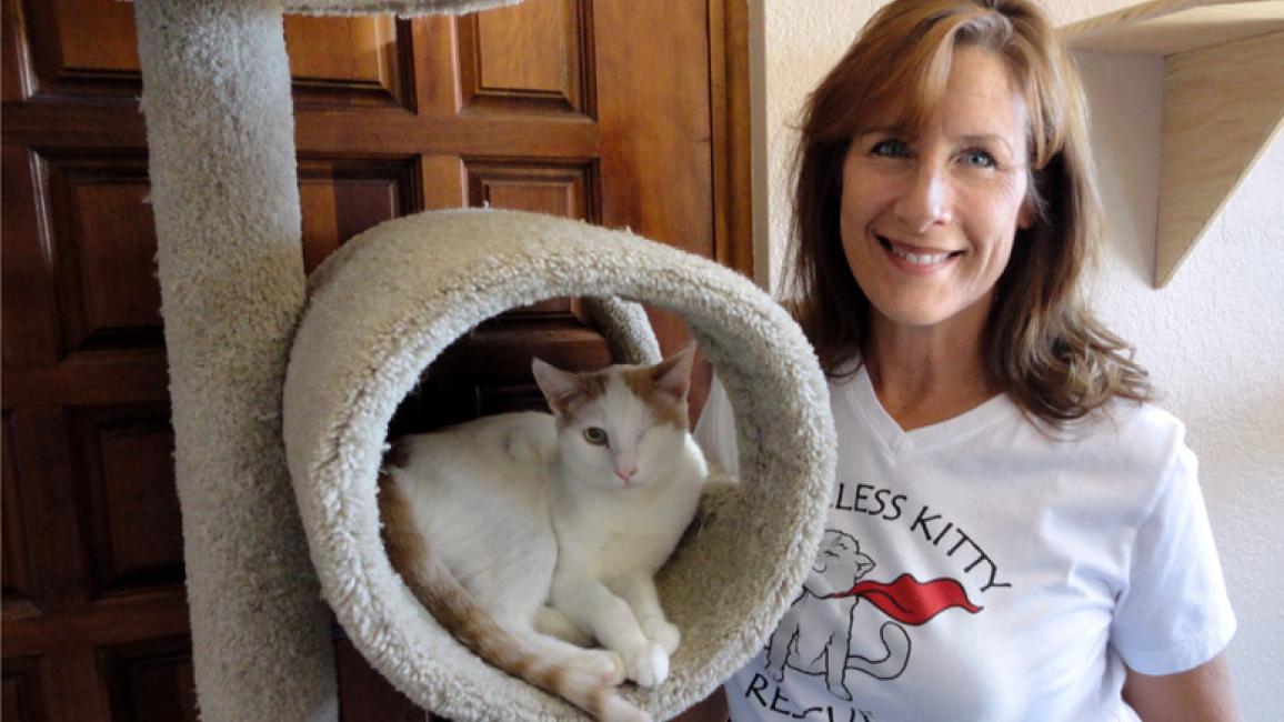 Kim-Kamins-Fearless-Kitty-Rescue-Blink-2.jpg