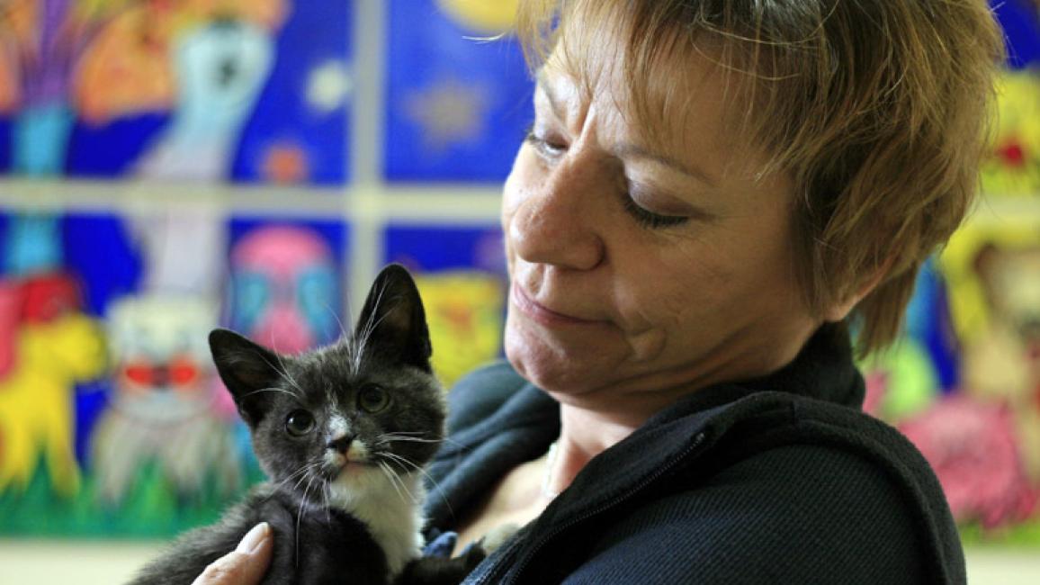 Louisiana-volunteer-Cat-World-kitten.jpg