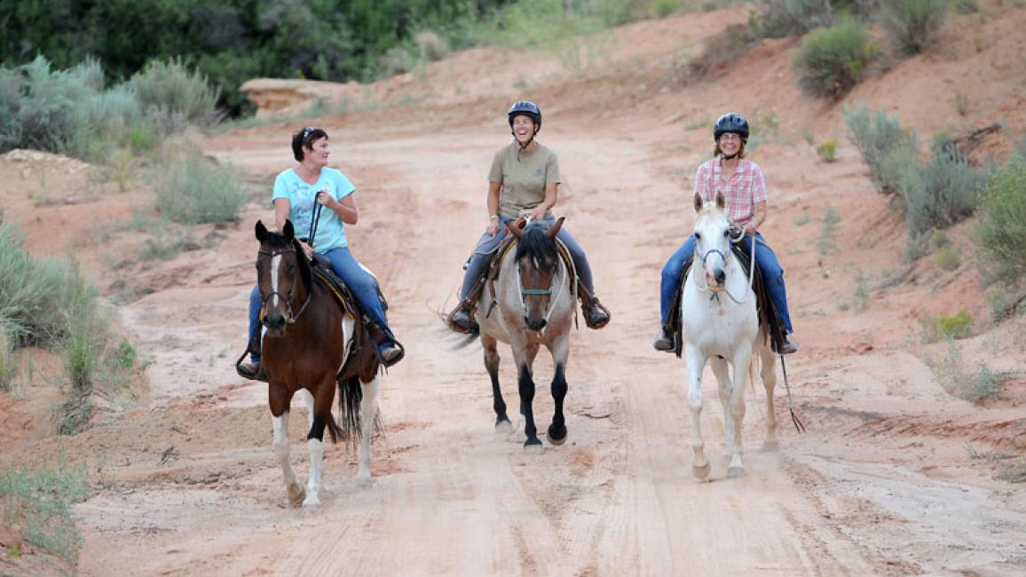 SIIncitatoAdoptionTrailRide3292.jpg