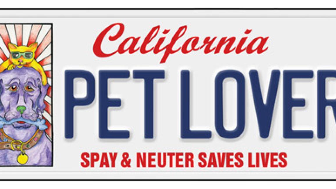 Pet Friendly Plate - Pet Friendly Services