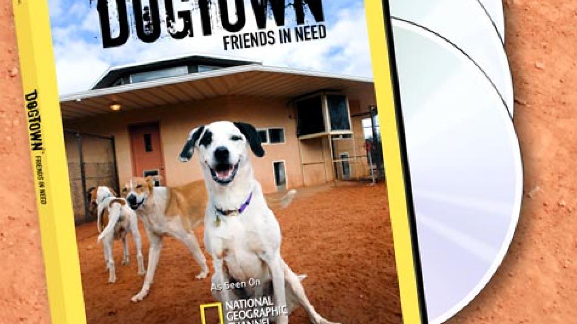 SI_DogTownFriendsInNeedDVD3D.jpg