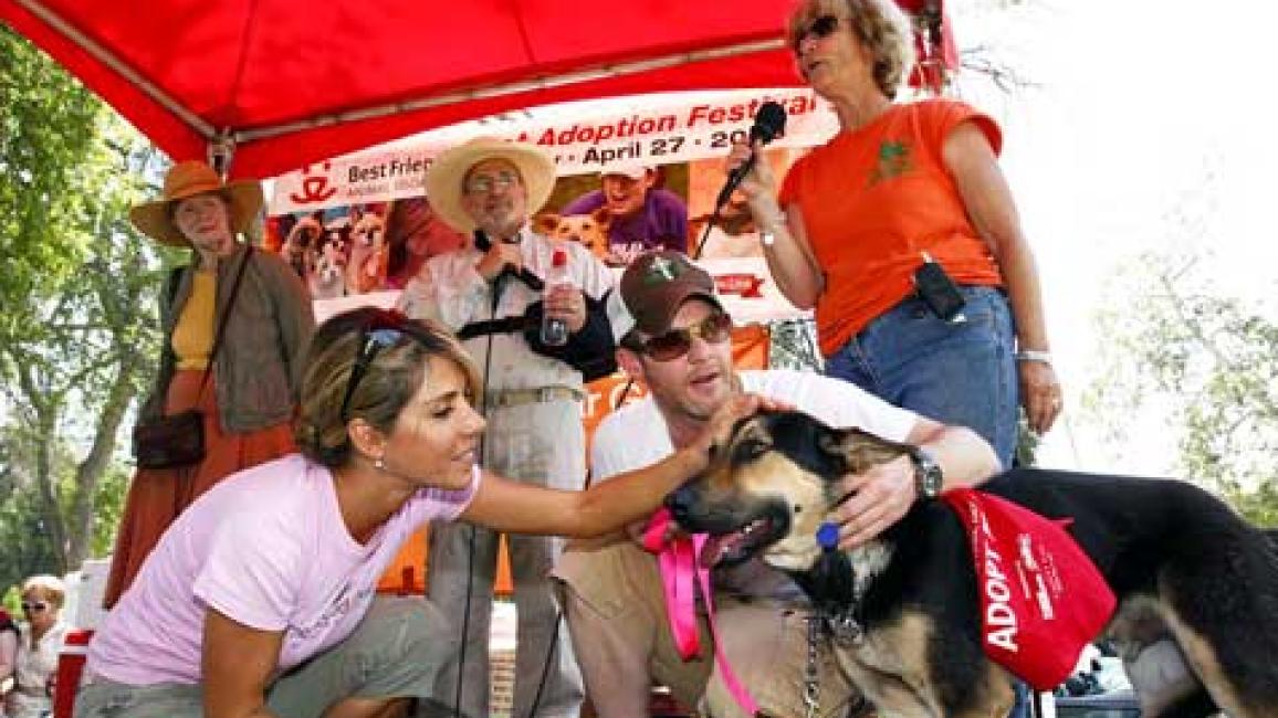 SI_LASuperAdoption.jpg