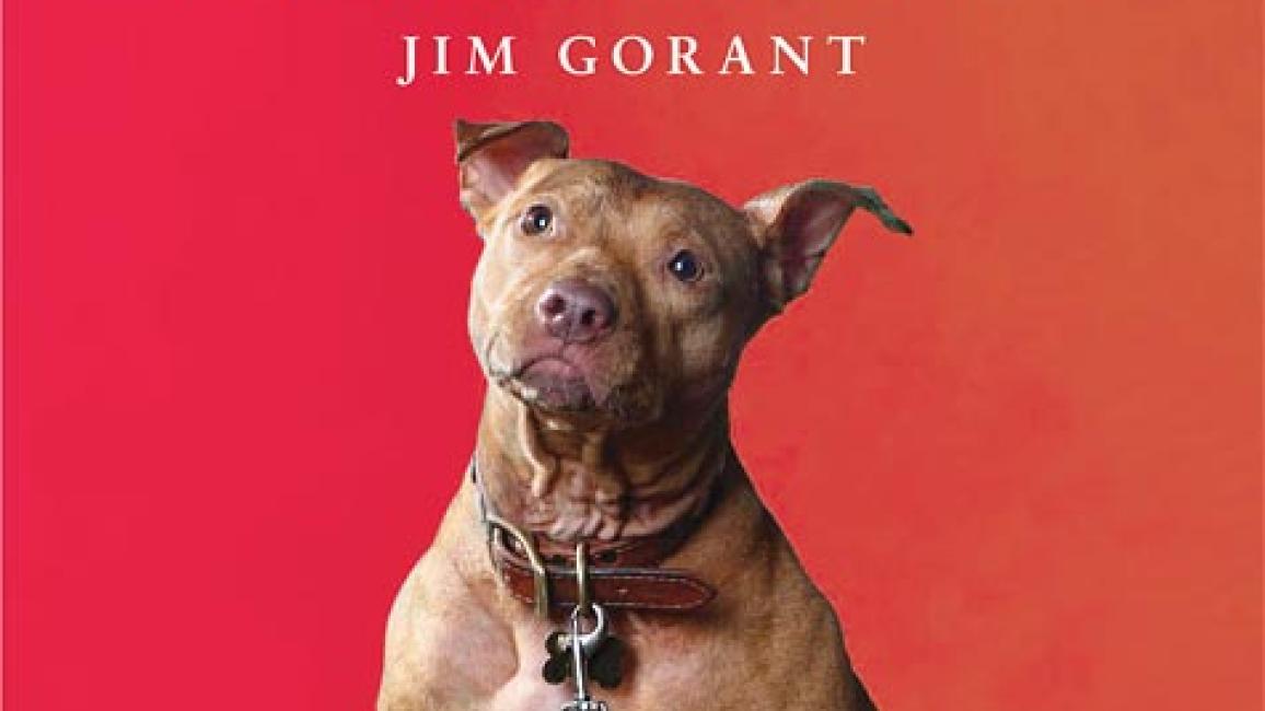 The lost sale dogs jim gorant