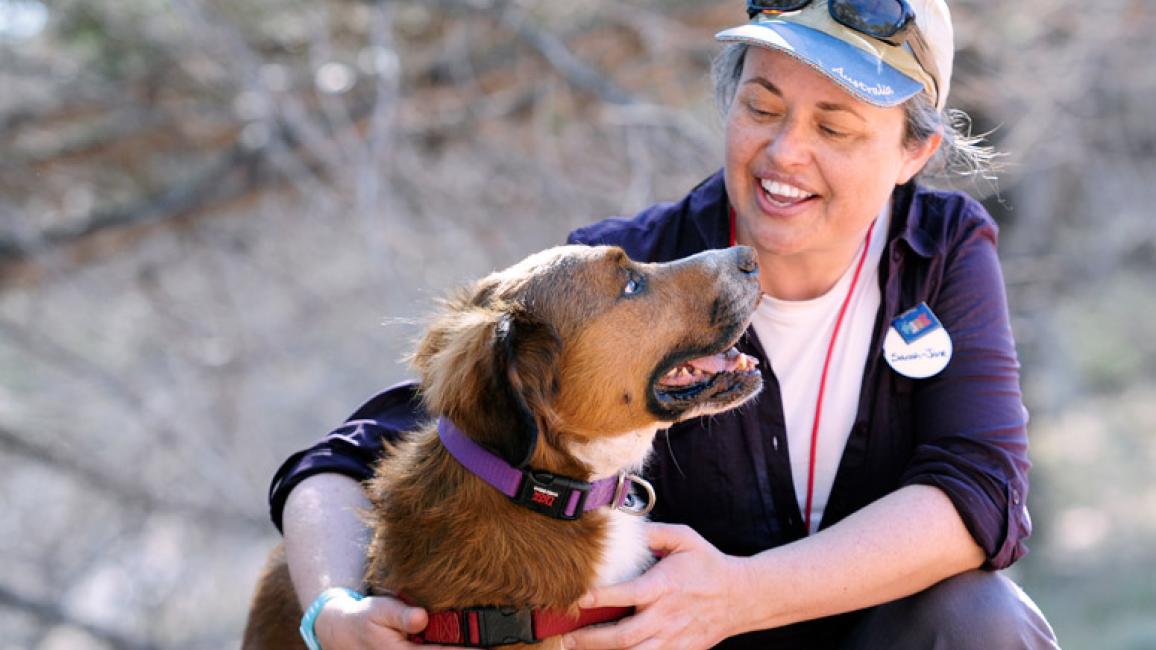 Sarah-Jane-Wicksteed-Bentley-dog-Australia-volunteer-3608.jpg