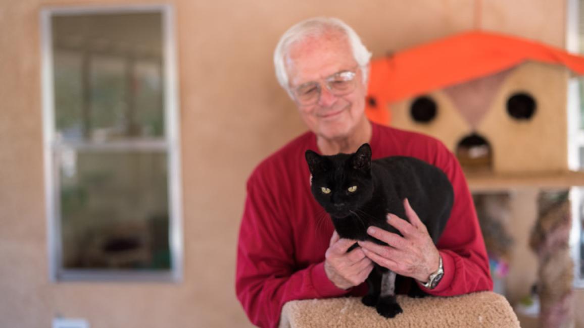 Single-senior-black-cat-adopt-Alexander-2038KB.jpg