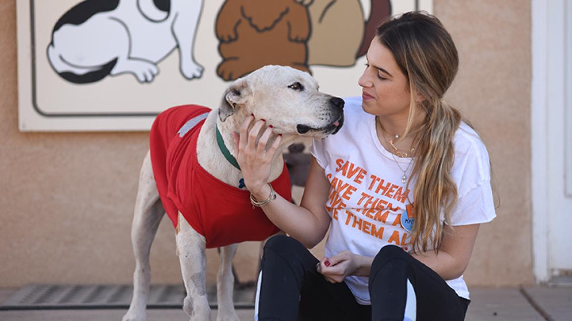 It was meant to be': Woman at animal shelter adopts dog wearing her late  pet's donated bandana