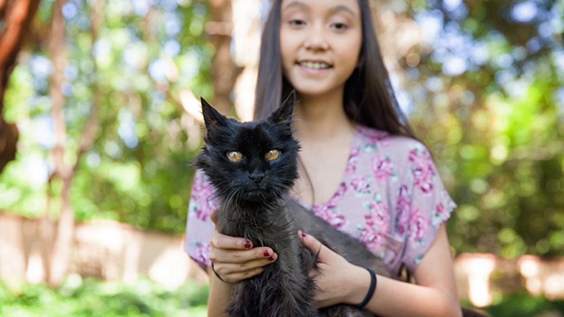 Deaf cats for store adoption