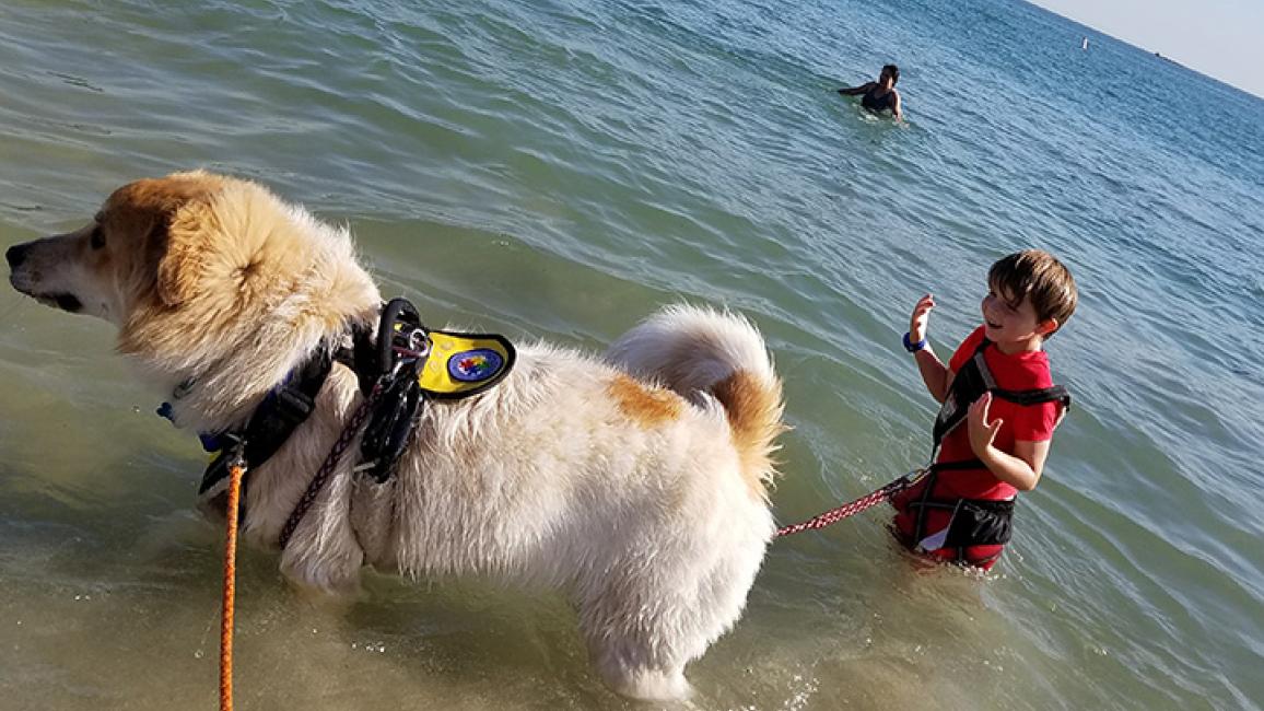 Great Pyrenees Helps Boy with Autism Best Friends Animal Society