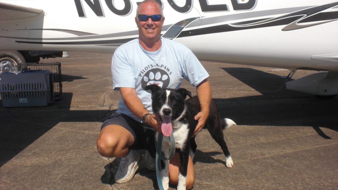 Pilots-N-Paws-dog.jpg