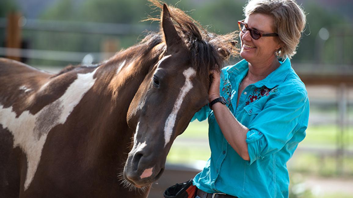 Rescued-horse-Jen-Tony-5640MW.jpg