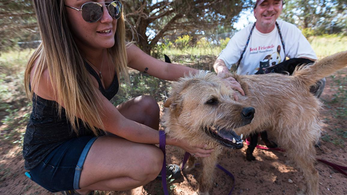 Hurricane Harvey Relief Effort | Best Friends Animal Society