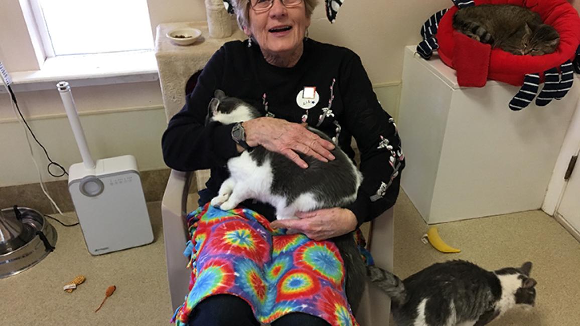 Volunteer-Lillian-Lamb-cats.jpg