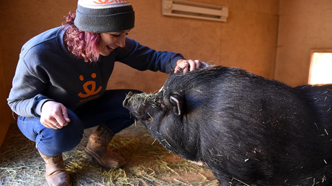 Healthy-pig-weight-Amy-Wilbur-3957MW.jpg