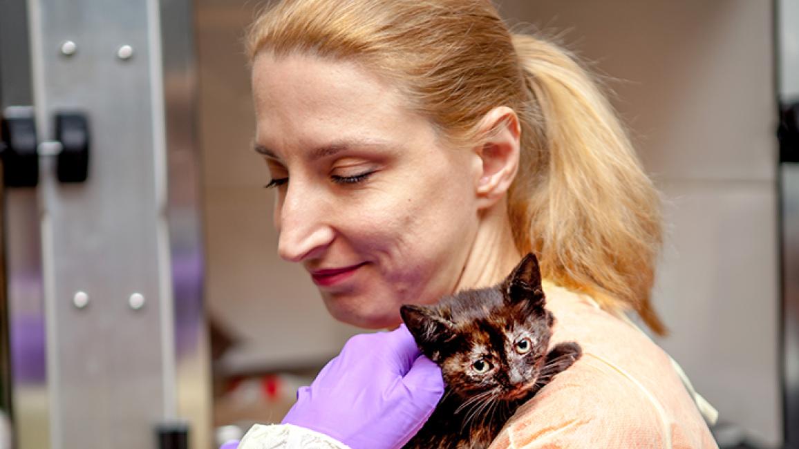 Newborn-kitten-volunteer-Milica-2850rs.jpg