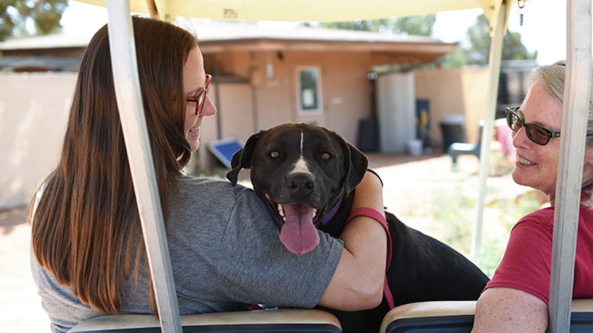 reactive dog rescue