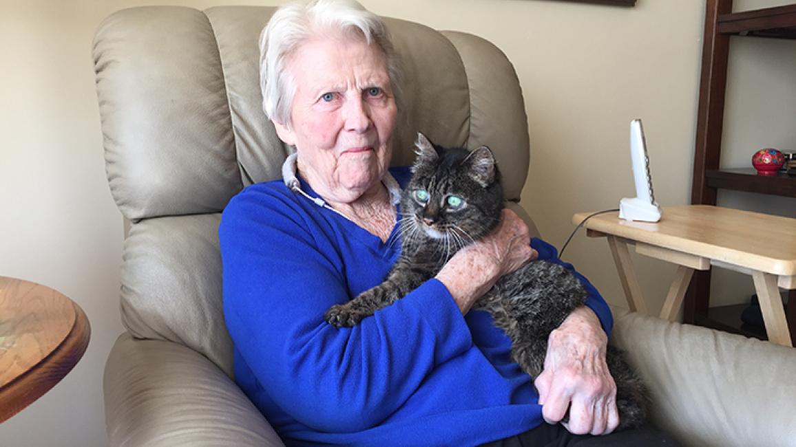 Senior-cat-adoption-1.jpg