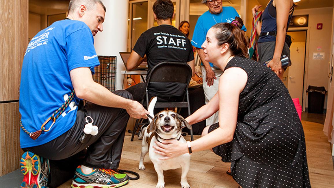 clear-shelters-7826_rs-blogbf.jpg