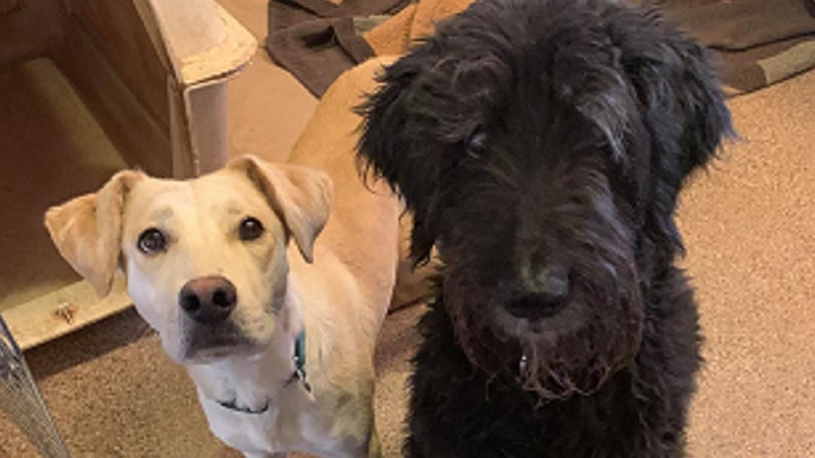 00Main image ZandH_resized.jpg