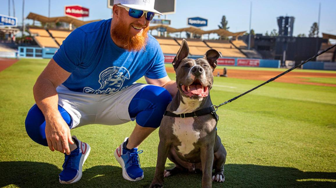 Dog-cancer-LA-Dodgers-baseball-Tyson-courtesy-of-Lori-Fusaro.jpg