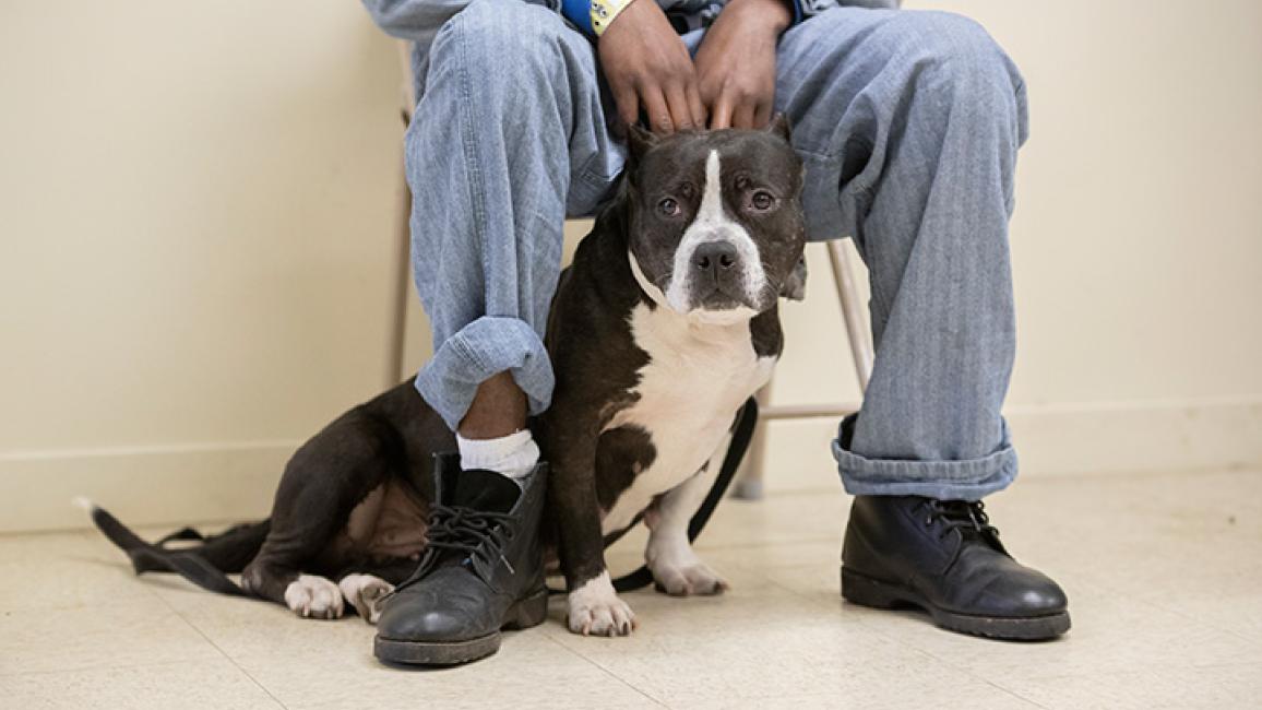 Juvenile-offenders-Prison-shelter-dog-Story-A74I3570.jpg_byAGoldPhoto.jpg