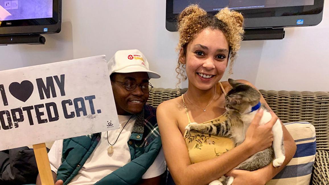 Los-Angeles-cat-Su-Purr-Adoption-Courtesy-of-Jamie-Holeman.jpg
