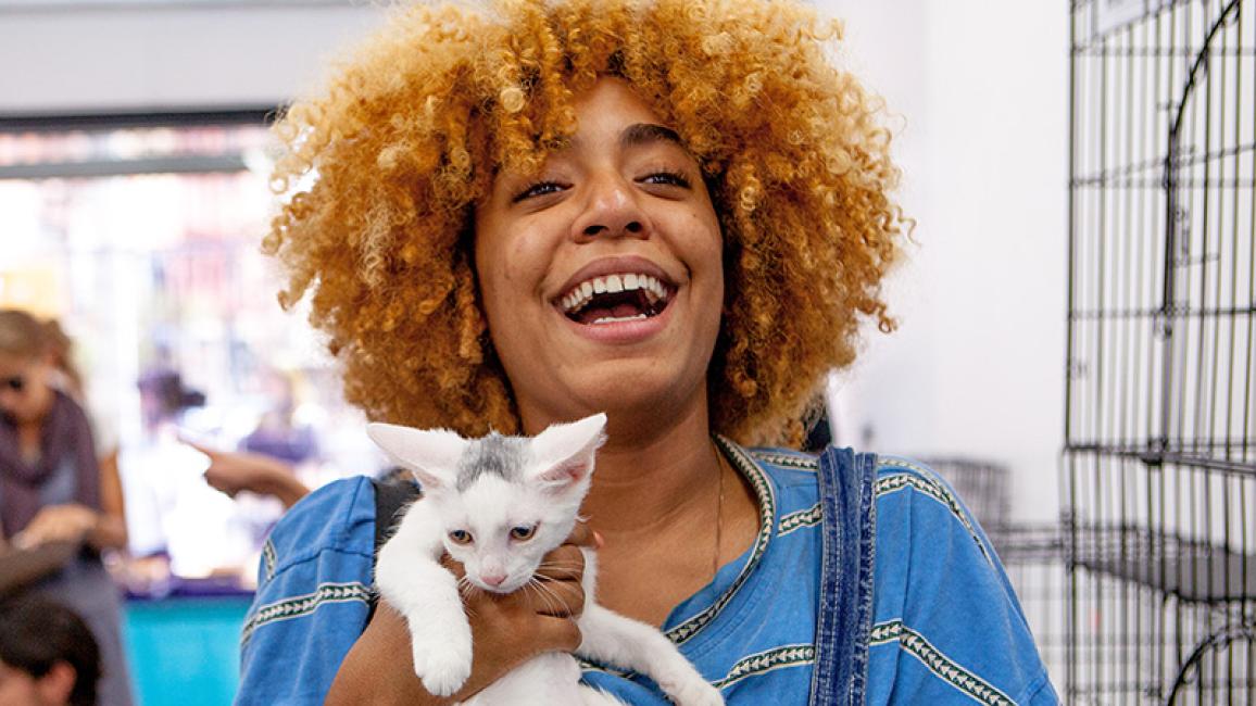 New-York-cat-adoptions-ACC_CAT_event_1178_rs.jpg