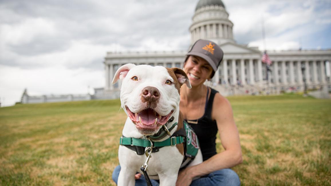 Pit-bull-therapy-dog-Captain-Cowpants-Capitol-0267sak.jpg