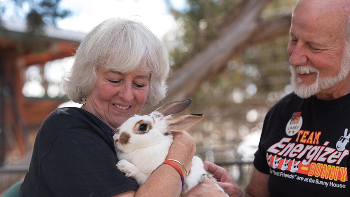 Rabbit-volunteers-Barbara-Larry-Cinnabun-7071MW.jpg