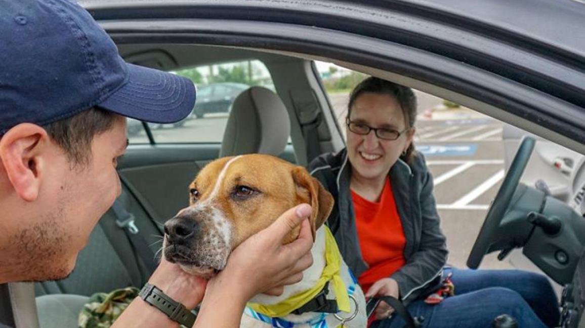Shelter-Dog-Field Trips-PVAC-Tails-Around-Town-Coutesy-of-Palm-Valley-Animal-Center-2.jpg