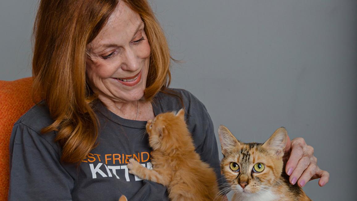 Volunteer-Connie-cat-kitten.jpg