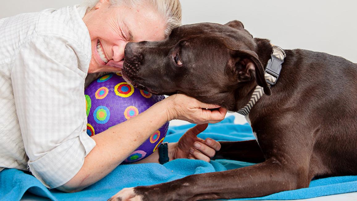 senior-pit-bull-adoption-GunnerCourtesyPhotobyLoriFusaro.jpg