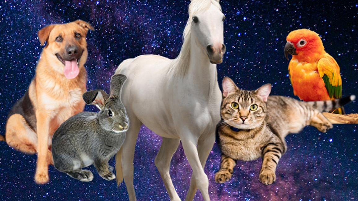 2021-200872_Horoscope-Web-Edit-Image1_700x451.jpg