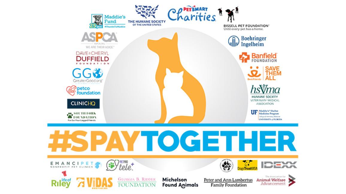 Blog-Spay-Together.jpg