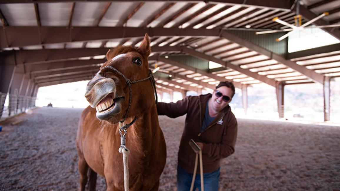 Horse-arena-BergieScratchesFunnyFace0950MW.jpg