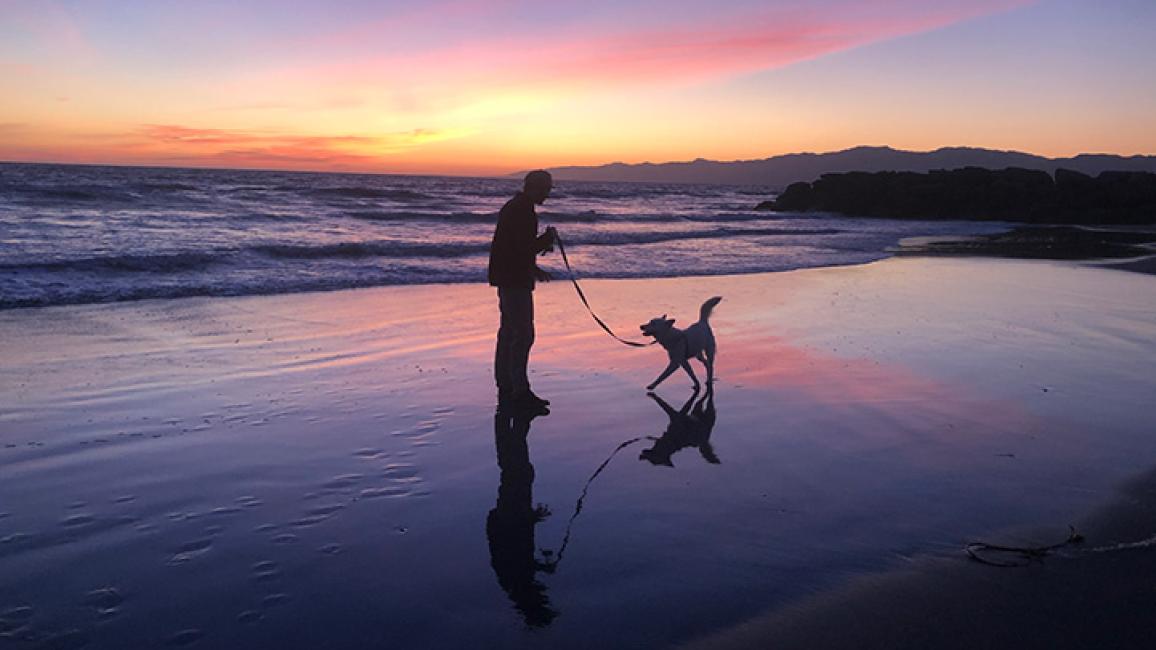 Los-Angeles-dog-adoption-Luna-by-Lexie-King5.jpg